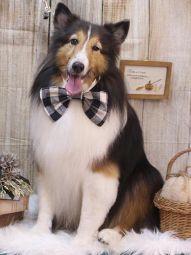 20241010ヒューゴくん